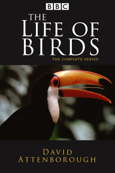 The Life of Birds - Season 1