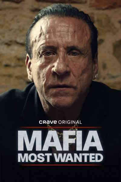 Mafia Most Wanted - Season 1