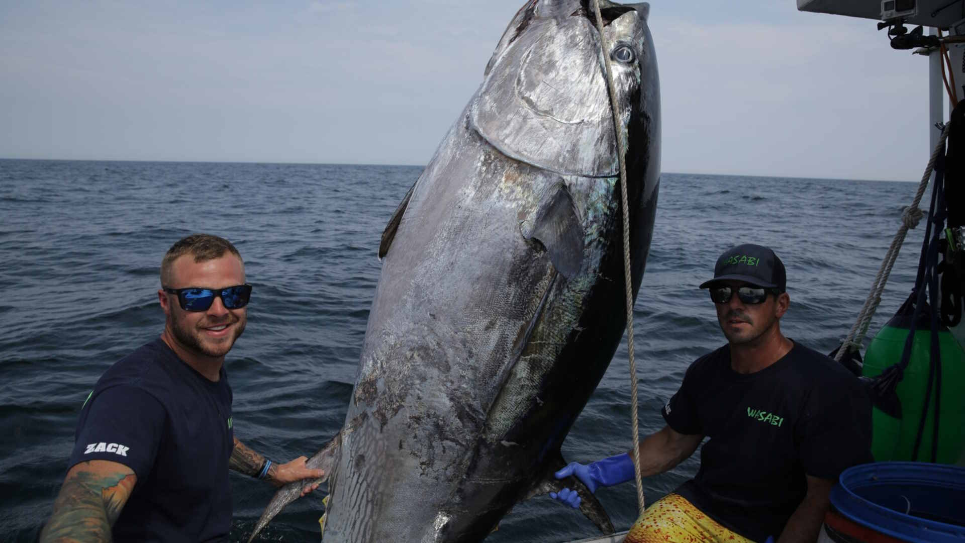 Season 5