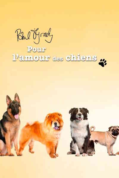 Paul O Grady: For the Love of Dogs - Season 13