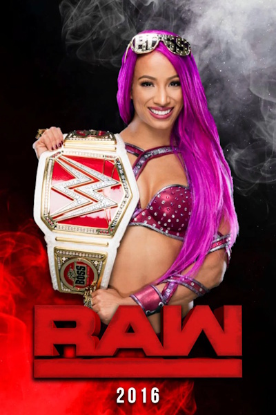 WWE RAW - Season 24
