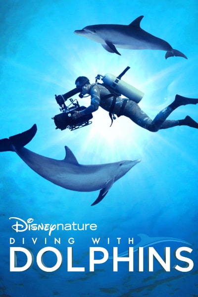 Diving with Dolphins