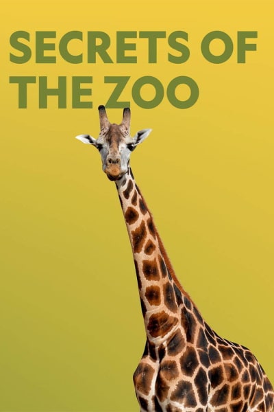 Secrets of the Zoo - Season 3