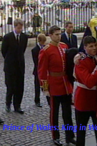 Prince of Wales: King in Waiting