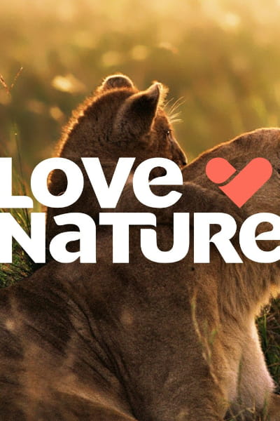 Love Nature - Season 1 (UK)