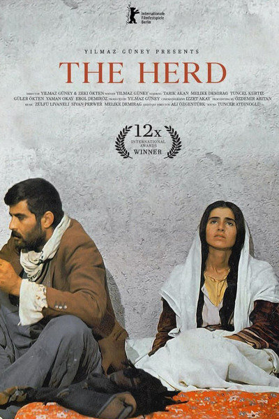 The Herd (Suru)