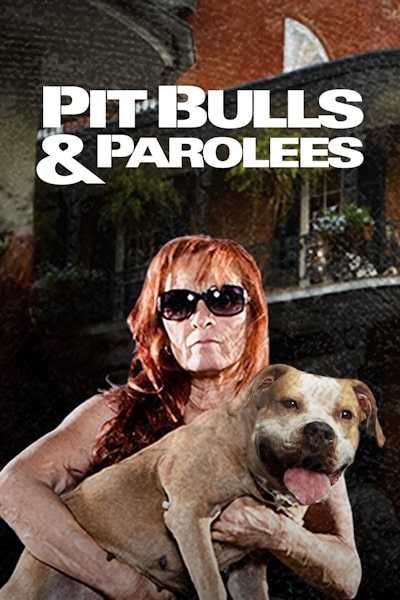 Pit Bulls and Parolees - Season 15