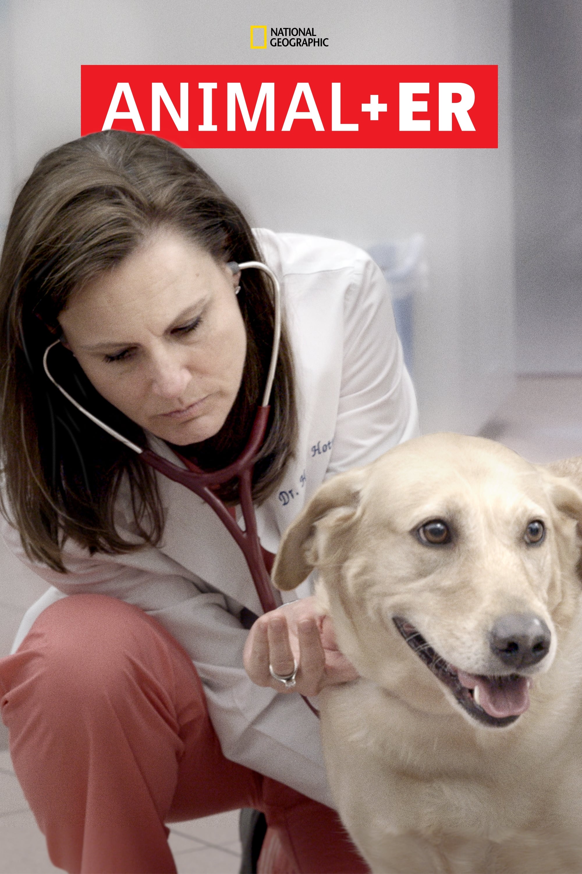 Animal ER - Season 2